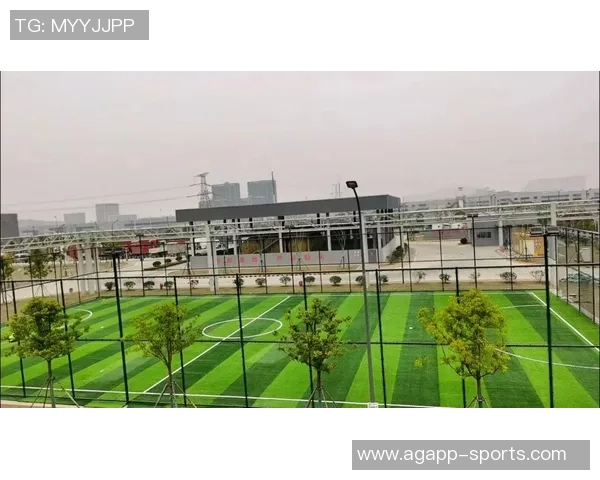 浙江足球新布局宁波计划改造专属足球场助力职业队发展